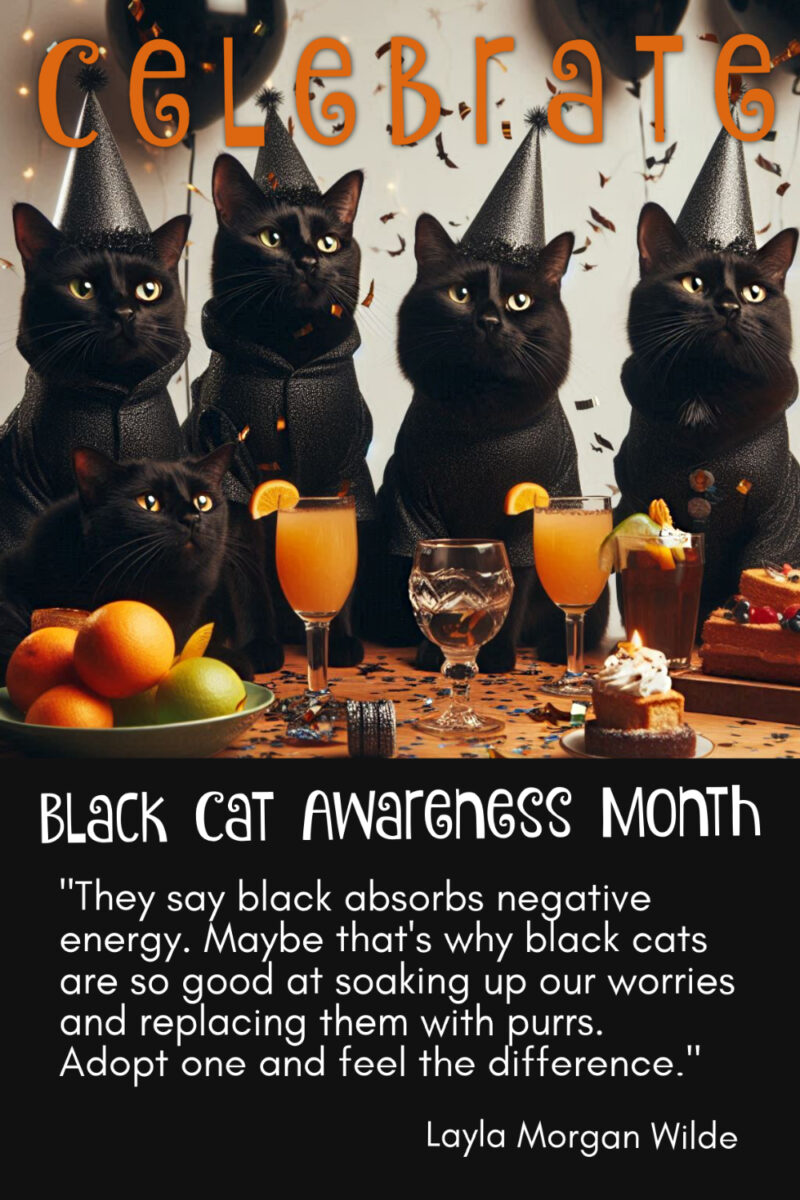 Black cat awareness month