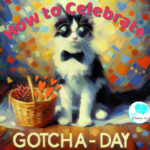 how to celebrate gotcha day cats