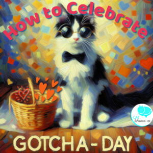 how to celebrate gotcha day cats