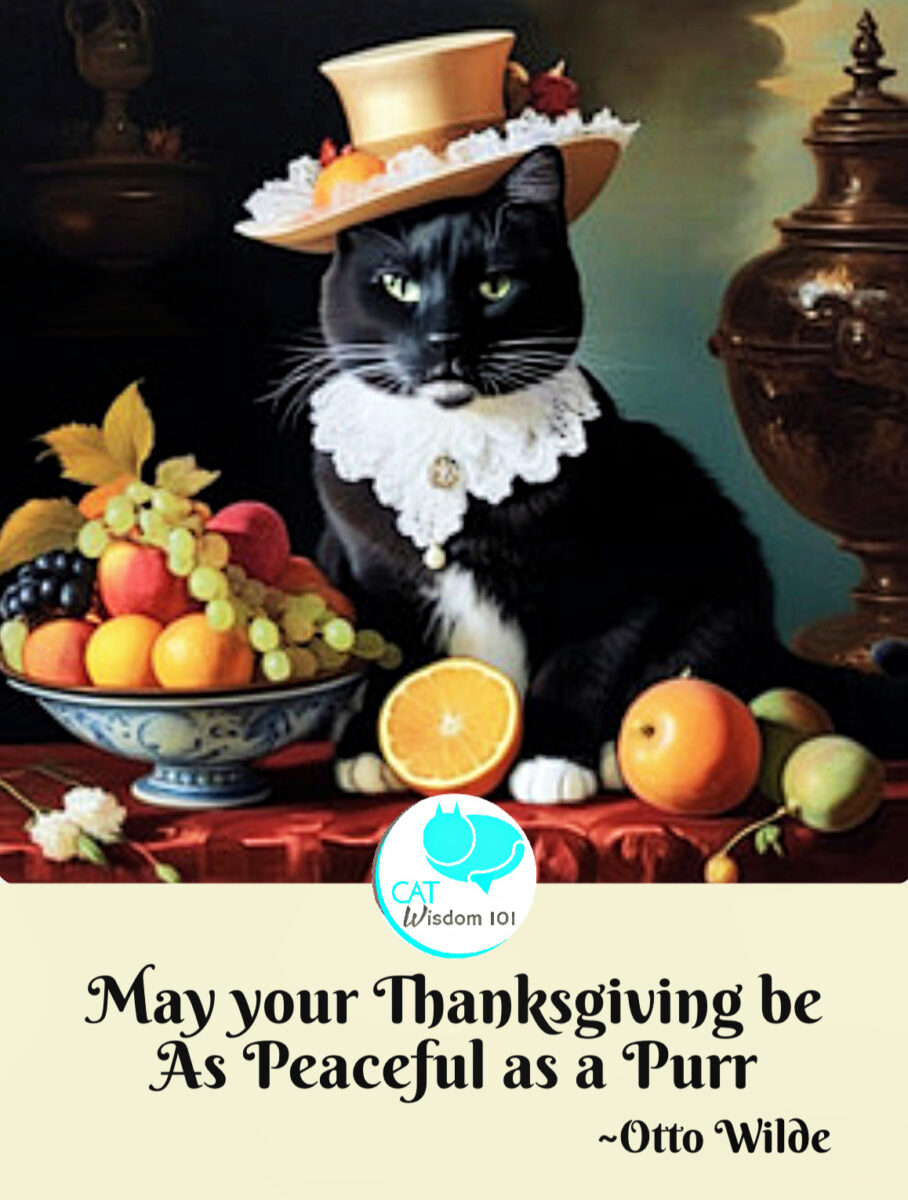 thanksgiving purrs of thanks