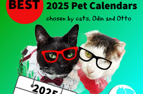 best 2025 pet calendars