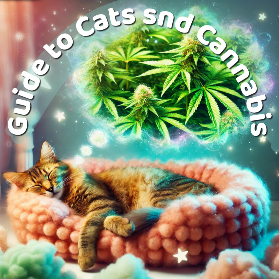 Cat and cannabis