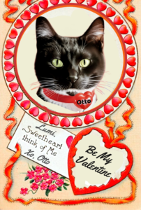 How to tell your cat loves you