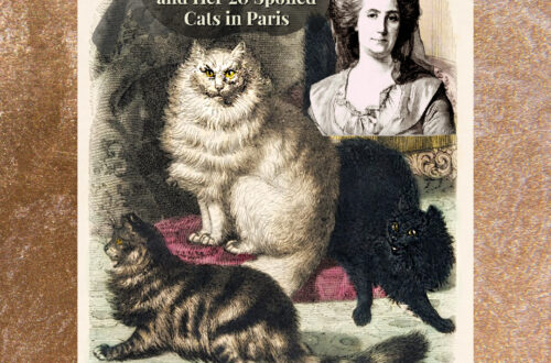 Benjamin Franklin with Paris cats