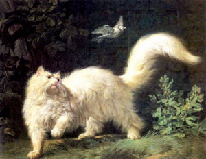 Antique cat art