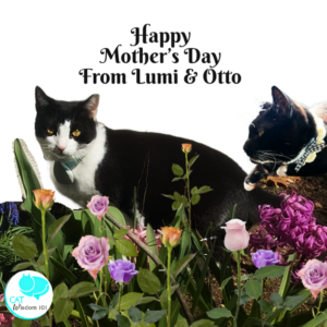 Mother’s day cat mom