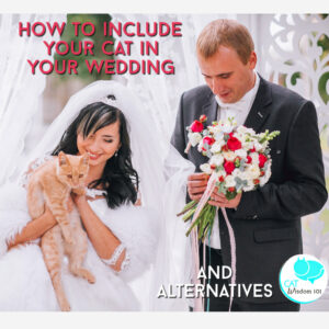 How to include your cat in your wedding