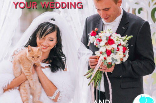 How to include your cat in your wedding