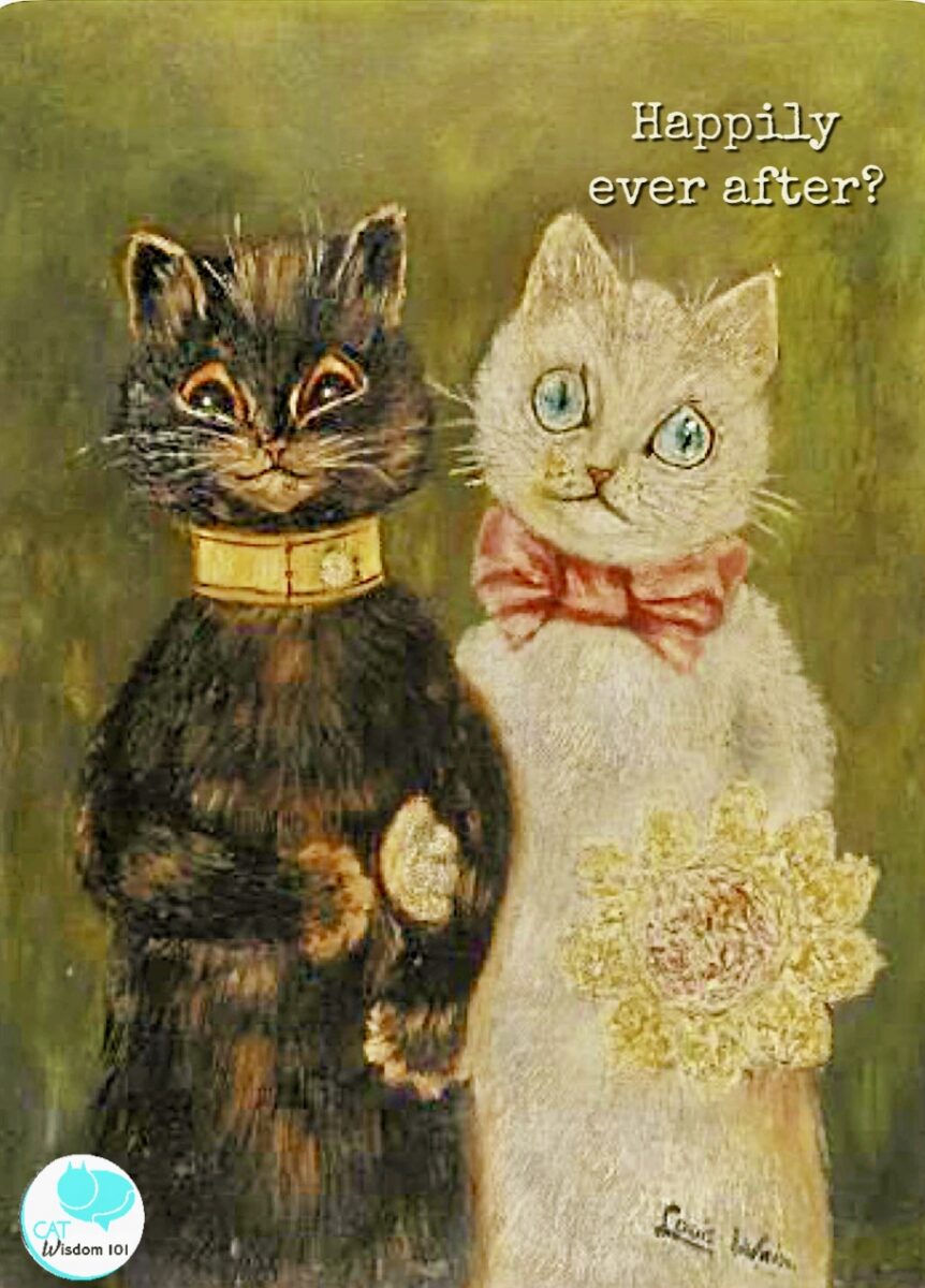 How to include your cat in your wedding