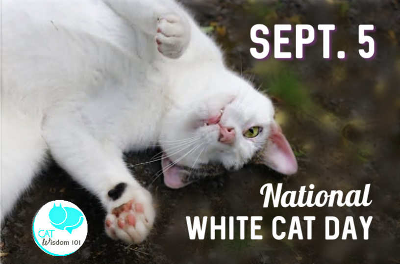 National white cat day