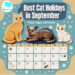 Best cat holidays in September