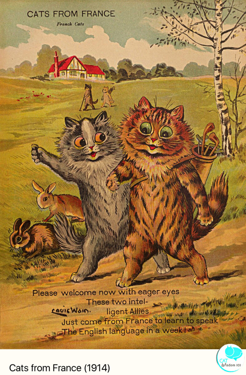 Louis Wain cats of many lands Politically incorrect