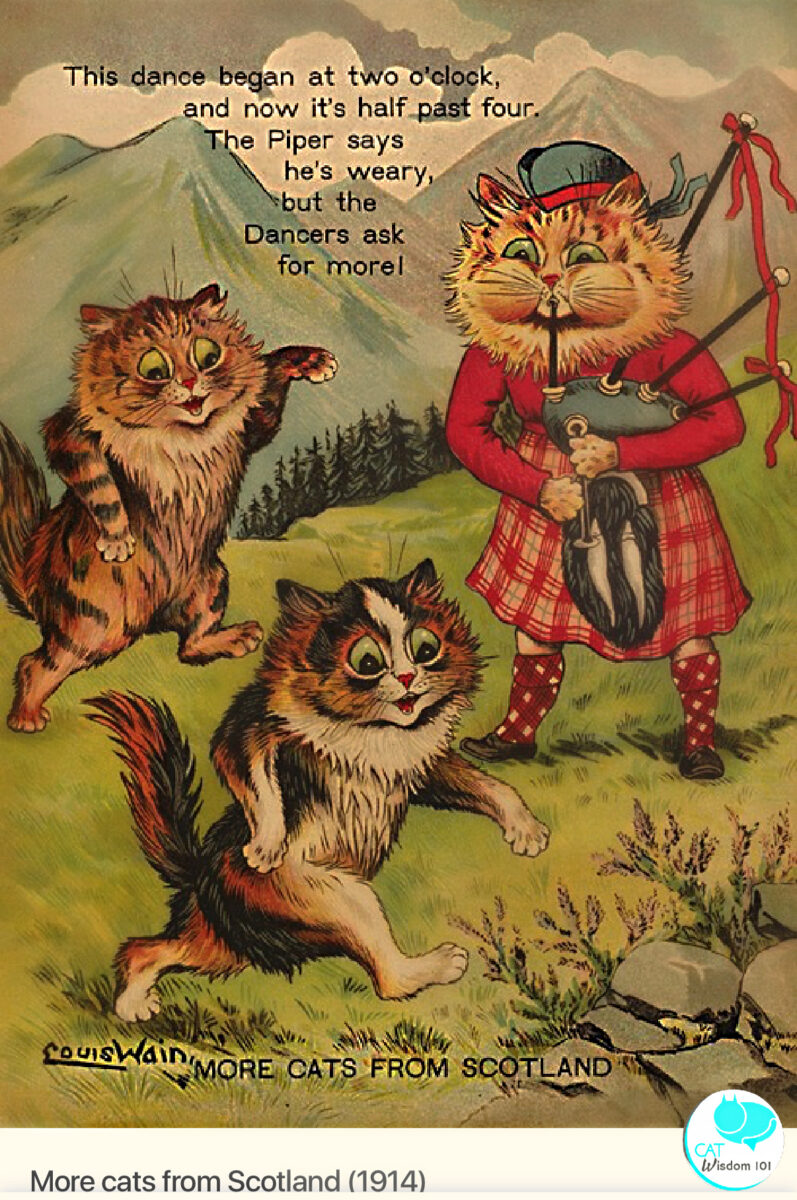 Louis Wain cats of many lands Politically incorrect