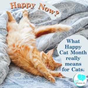 Happy cat month