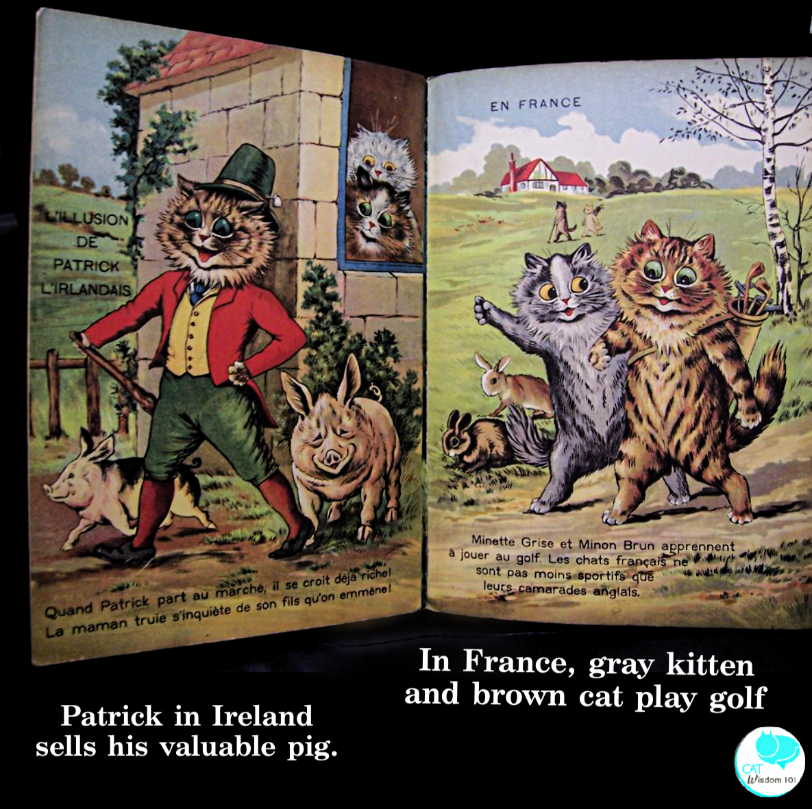 Louis Wain cats of many lands Politically incorrect