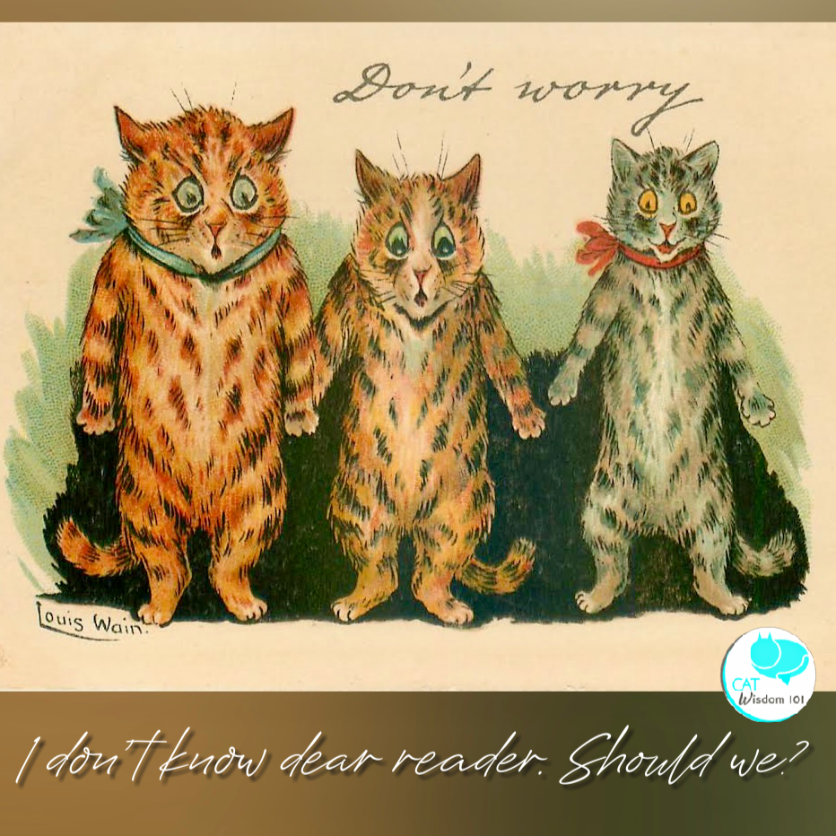 Louis Wain don’t worry cats