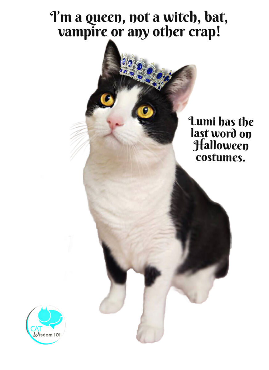 Lumi, The Cat queen