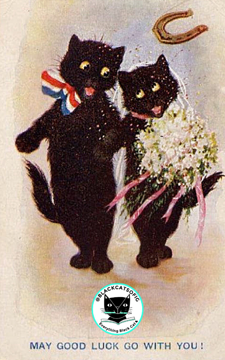 Black cat bride and groom