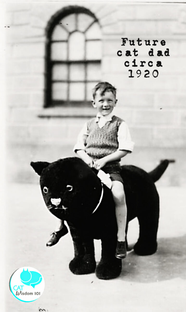 Vintage photograph of a young boy sitting on a stuffed black cat