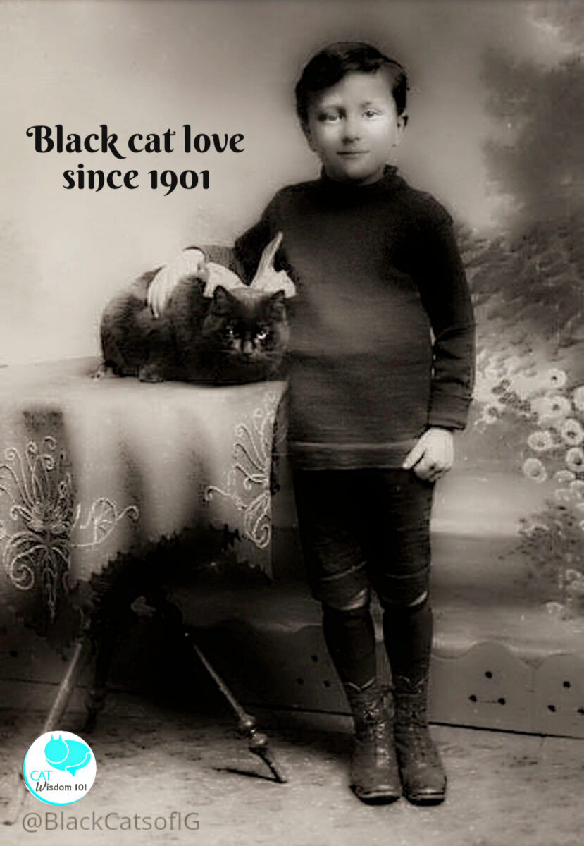 Vintage photograph of a young boy with a black cat