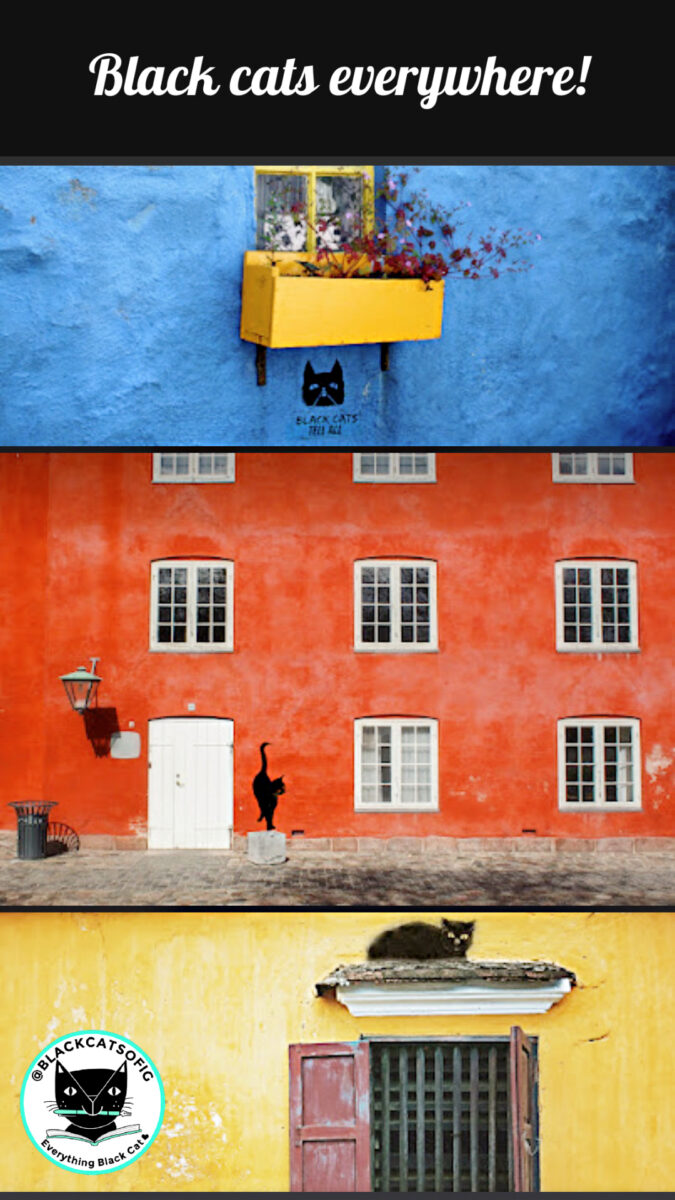 Black cat graffiti on buildings