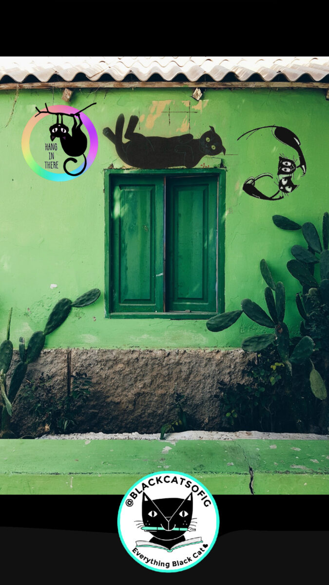 Black cat graffiti fantasy art