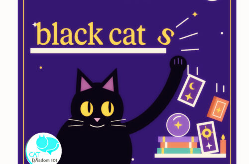 Weird, wonderful whimsical black cats