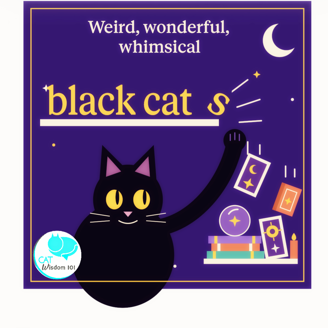 Weird, wonderful whimsical black cats