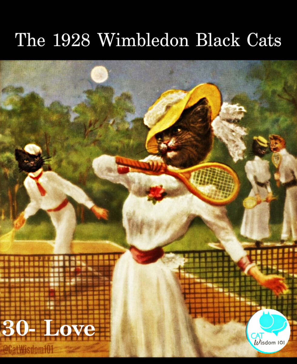 Black cat illustration of Cats in Victorian dress playing tennis